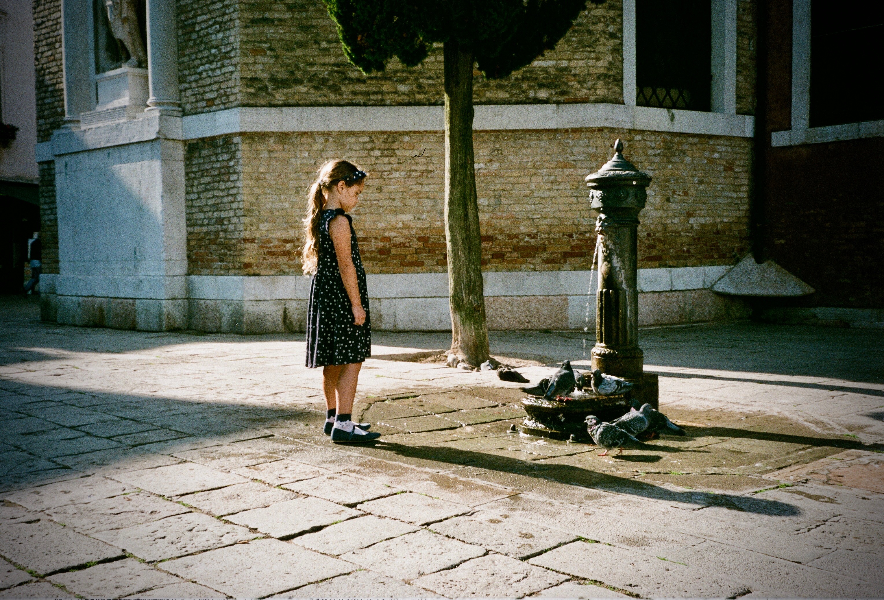 35mm Kodak Film Venice 2019