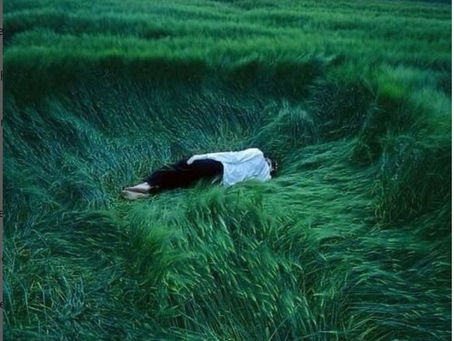 Breaking News ! Local Bartender Found Dead in Roadside Bush.
