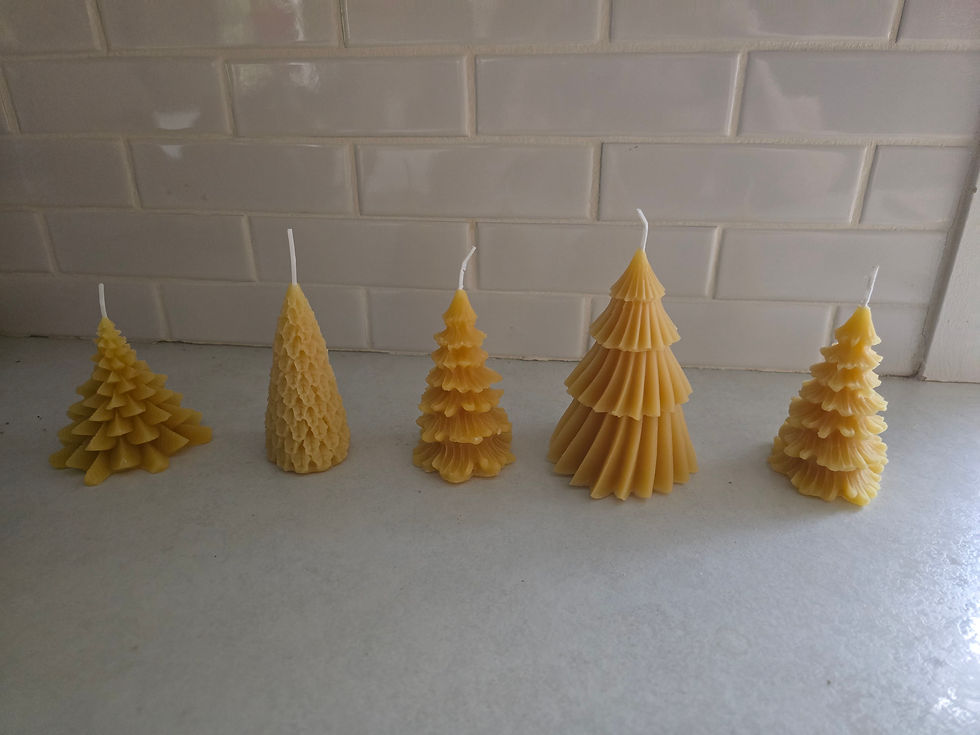 Thumbnail: Bee's Wax tree 5  pack