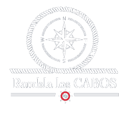 Imagen8.png