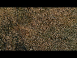 Ecosinema 2025: Cinema, Community & Climate