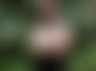 JANUARY SCREENINGS IN LLANWARNE