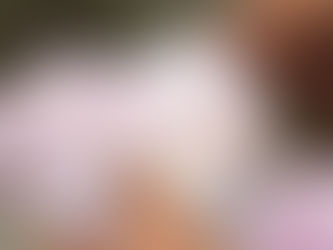 Haziran Ayına Yönelik Sosyal ve Ekonomik Destek (SED) Ödemeleri Gerçekleştirildi