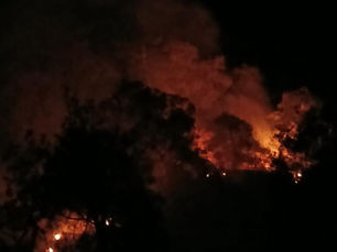 Denizli'de Orman Yangını