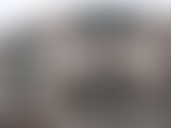 Askeri casusluğu raporlar deşifre etti