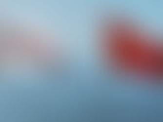 TPAO'nun Adıyaman ve Şanlıurfa'daki petrol işletme ruhsatı uzatıldı