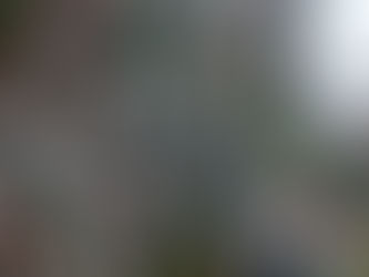 TBMM Zirai Don Olayını Araştırma Komisyonu Toplantısı Hakkında Detaylar