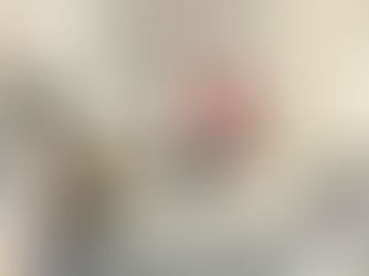 Cumhurbaşkanı Erdoğan'ın Terörsüz Türkiye Mektubu Siirt'te Şehit Ailelerine Ulaştırılıyor