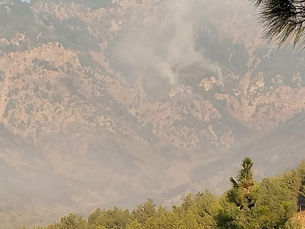 Hatay ve Mersin'de Orman Yangınları Sürüyor