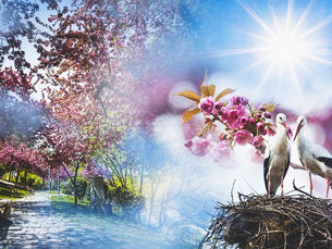 Bugün hava nasıl olacak? Meteoroloji tahminleri...