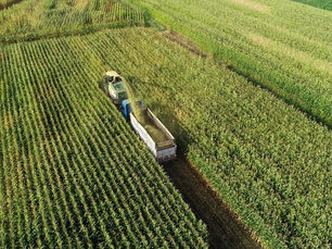 Tarım ÜFE mayısta artış gösterdi