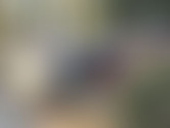 Muğla'da Trafik Kazası: 1 Ölü