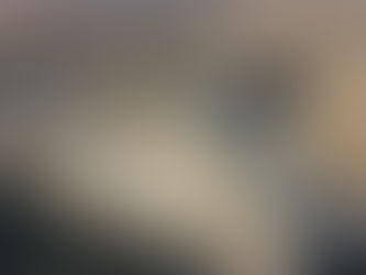 Esedin "insan mezbahanesi": Sednaya Hapishanesi