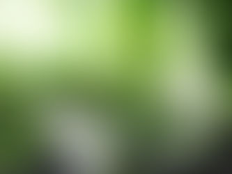 Türkiye'nin İlk İklim Kanunuyla İlgili Merak Edilenler