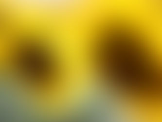 Ayçiçek Yağında Gümrük Vergisi Düzenlemesi