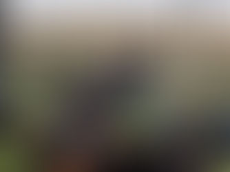 İsrail saldırıları sonucu binlerce Filistinli Gazze kenti sahiline sıkıştı