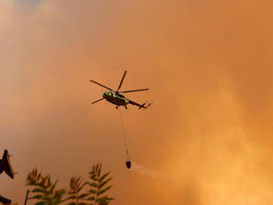 Orman yangınlarıyla mücadele devam ediyor