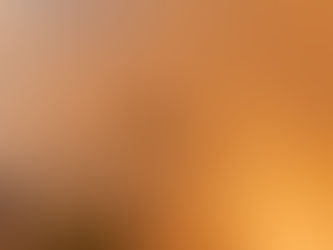 Orman yangınlarıyla mücadele devam ediyor