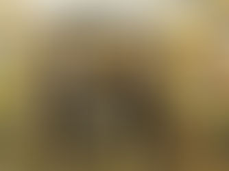 Ticaret ve perakende satış hacmi haziranda yıllık bazda arttı