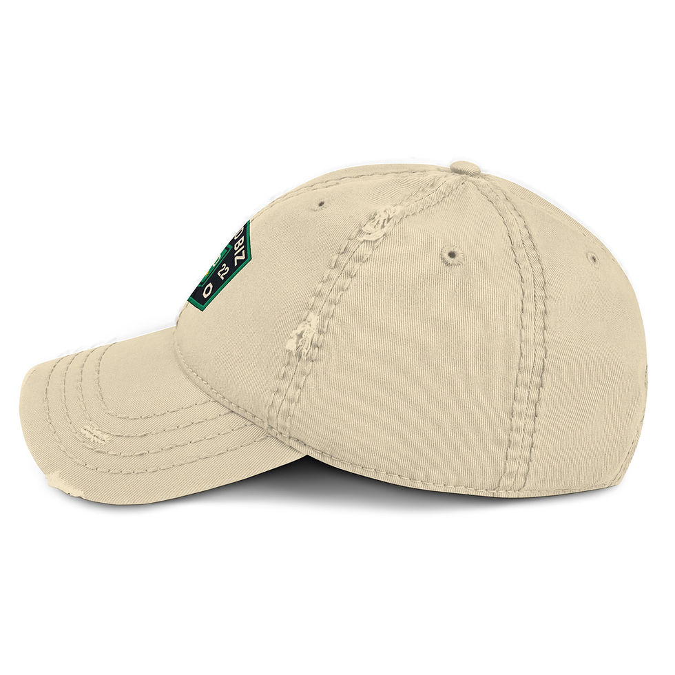 Miniatura: Distressed Dad Hat | Otto Cap 104-1018