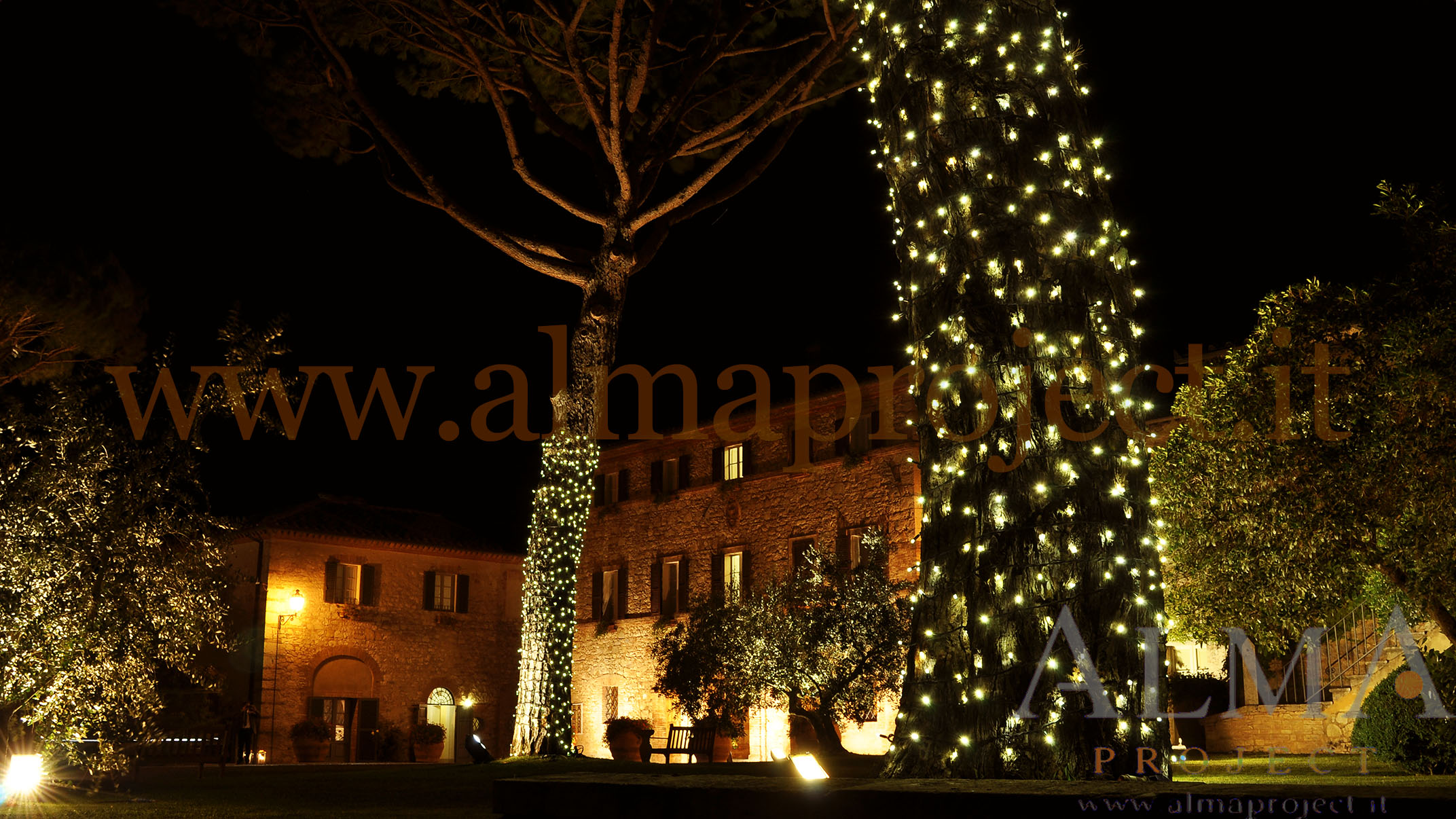 ALMA PROJECT _ Borgo San Felice - Piazza - Fairy light trees - disano - 2