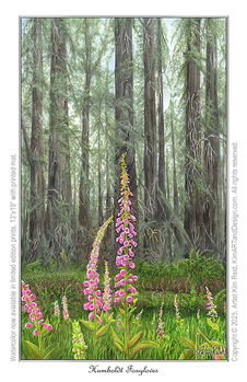 Beautiful watercolor forest scene featuring towering redwood trees surrounded by lush greenery. In the foreground, vibrant pink foxglove flowers bloom, adding a splash of color to the natural landscape.