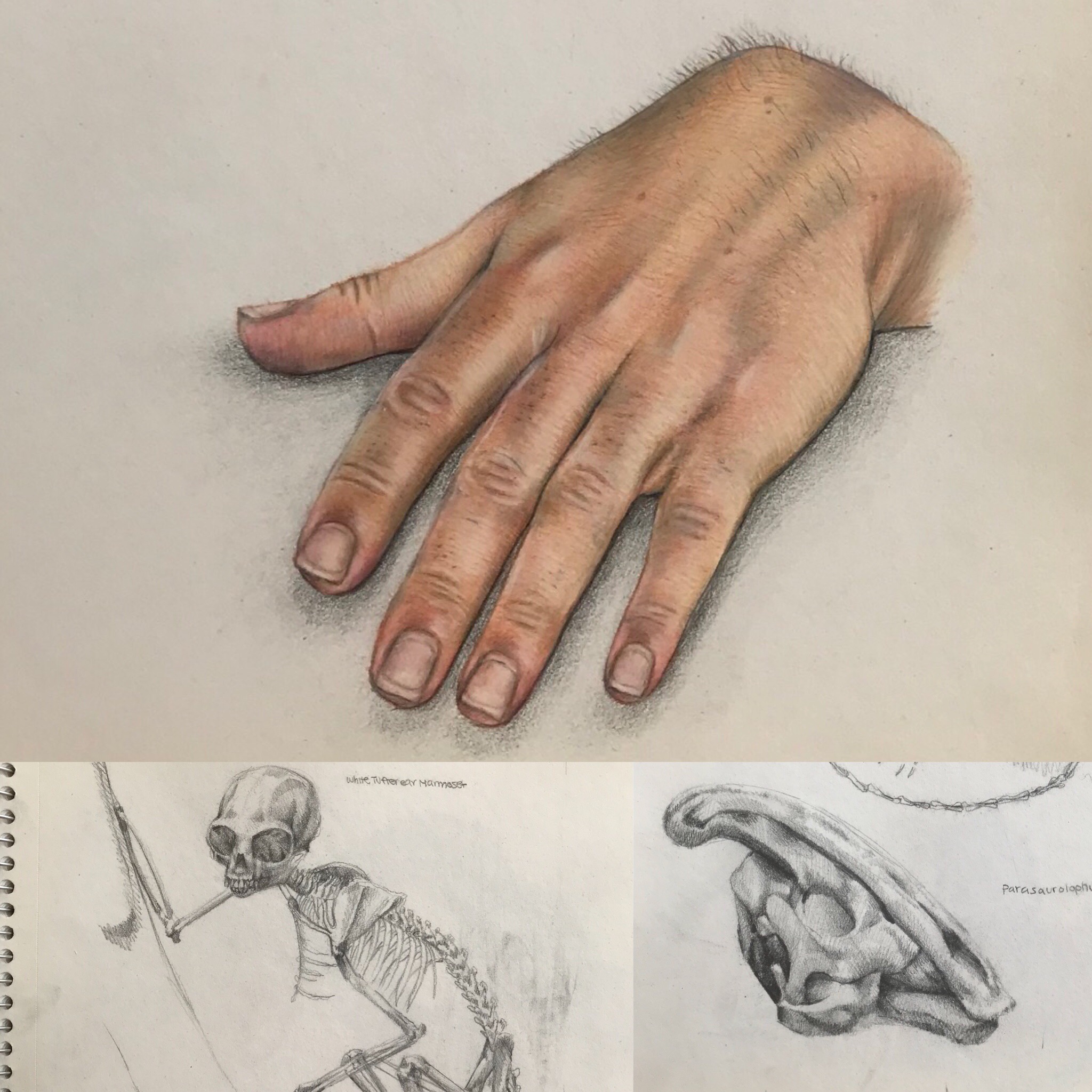 Assorted drawings