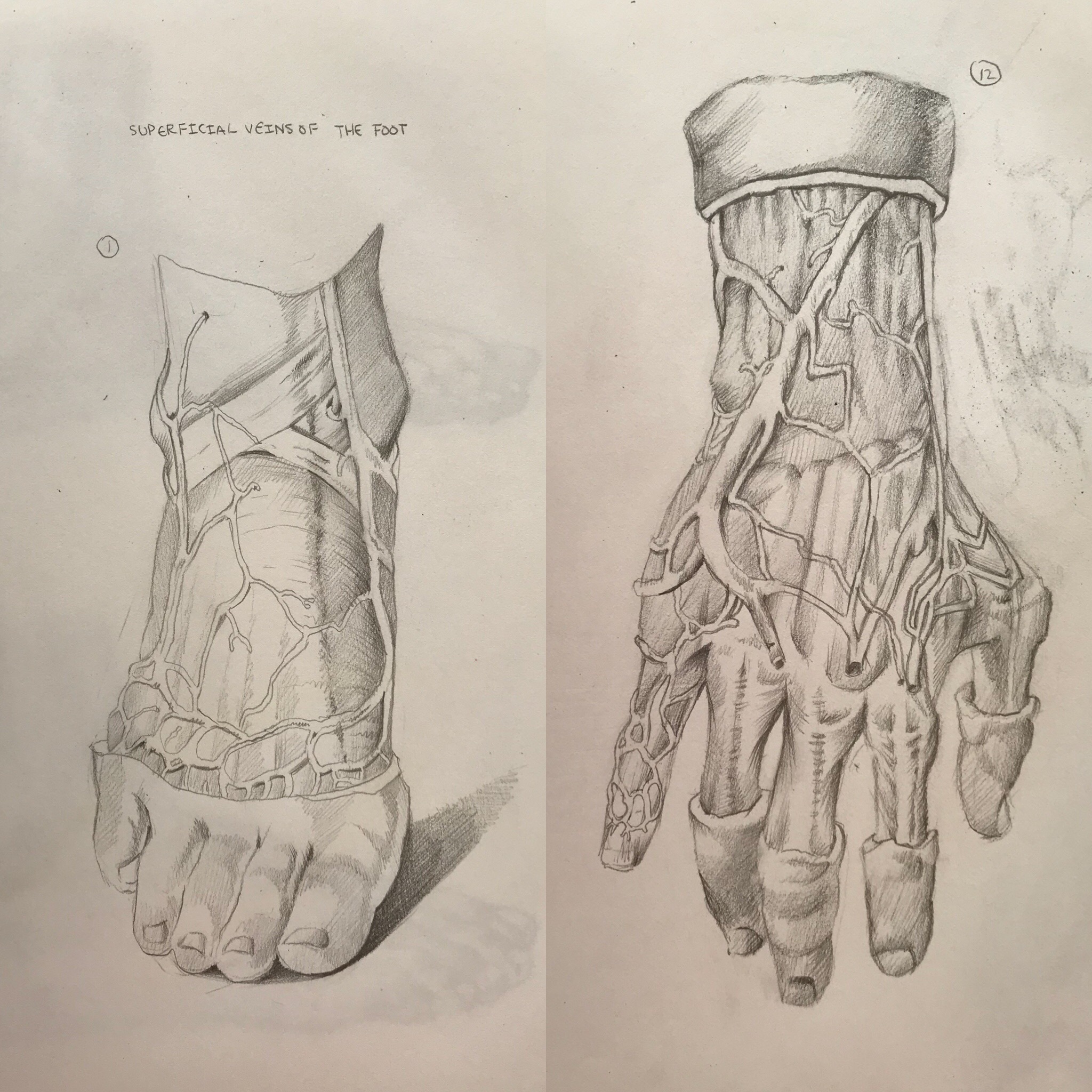 Assorted drawings