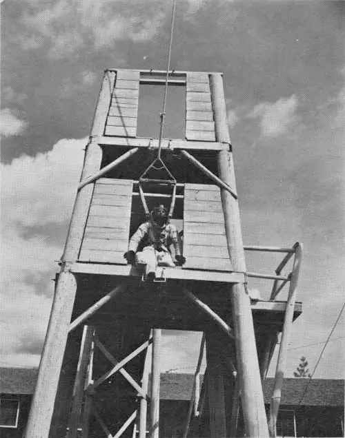 The Shock Tower