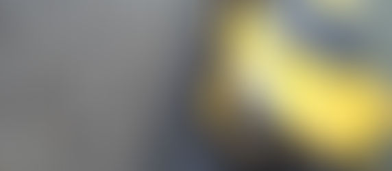 Renault R.S.01 de Norev