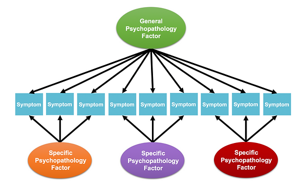 Hierarchy (1).png