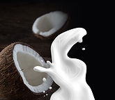 coconut-milk.jpg