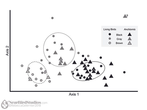 Graph showing data clusters marked as black, gray, and brown pigments.