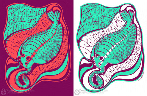 Illustration of Opabinia regalis in the style of a psychedelic 1960s concert poster. Two versions - left is purple, light turquoise, and light red with a purple background, right is purple and turquoise on white. The animal's taxonomic classification (Arthropoda, Dinocaridida, Radiodonta, Opabiniidae) and age (Middle Cambrian, circa 505 MYA) also appear.