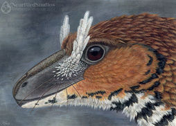 A portrait of a warm brown dinosaur with long whiskers and white crests in front of its eyes.