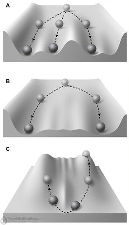 Greyscale vector figure depicting the described process. The landscapes have ridges and valleys to direct development, which is represented by rolling balls (or climbing creatures). A shows a strongly canalized landscape, B shows a weakly canalized one, and C is basically an inverted B, with creatures climbing from the bottom to the tops of peaks.