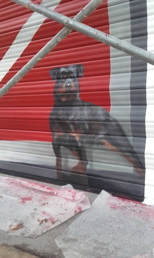FRESQUE MURALE CHIEN DE GARDE  DEAUVILLE  NORMANDIE AQUITAINE