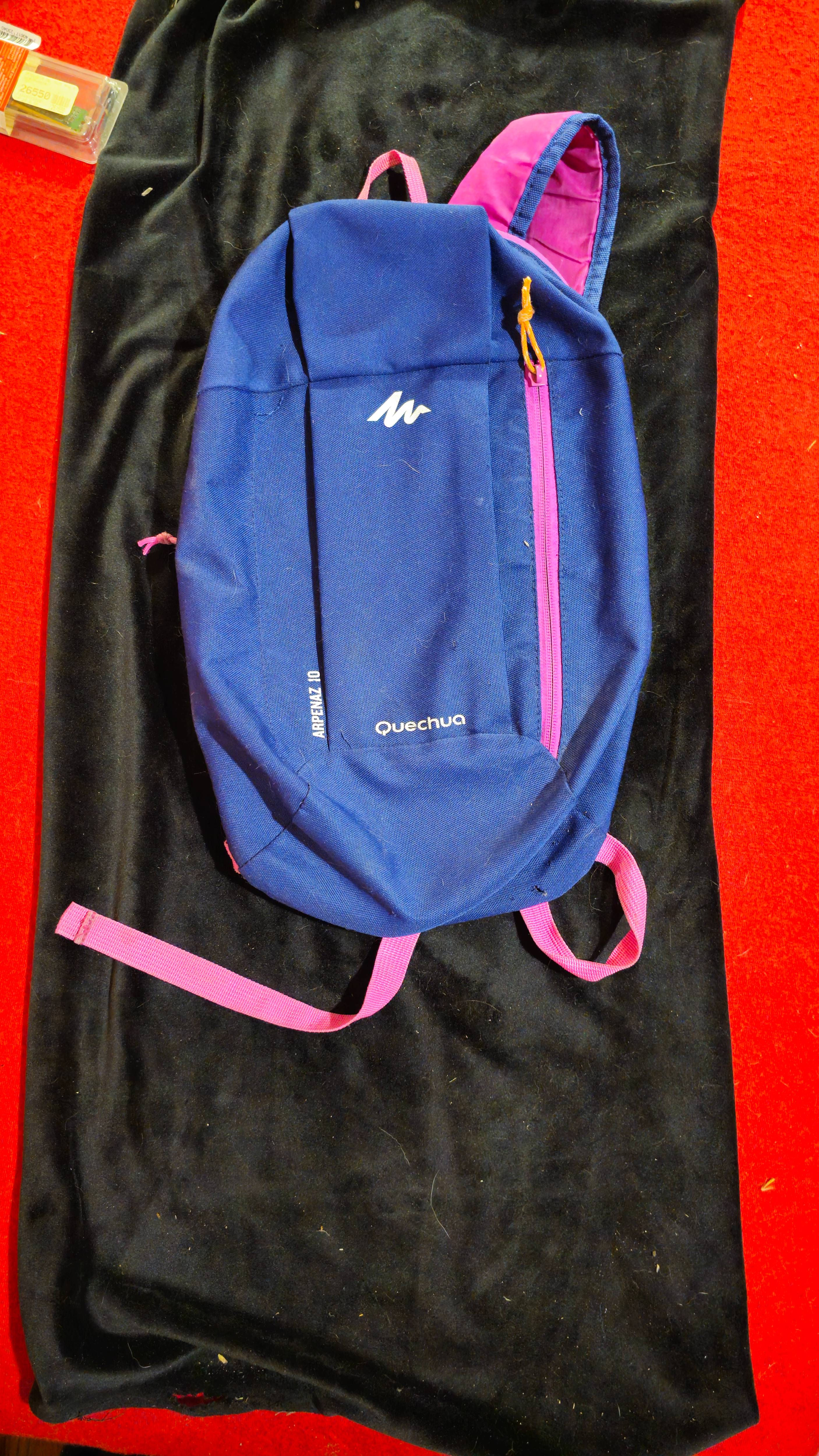 Mochila Quechua Arpenaz 10
