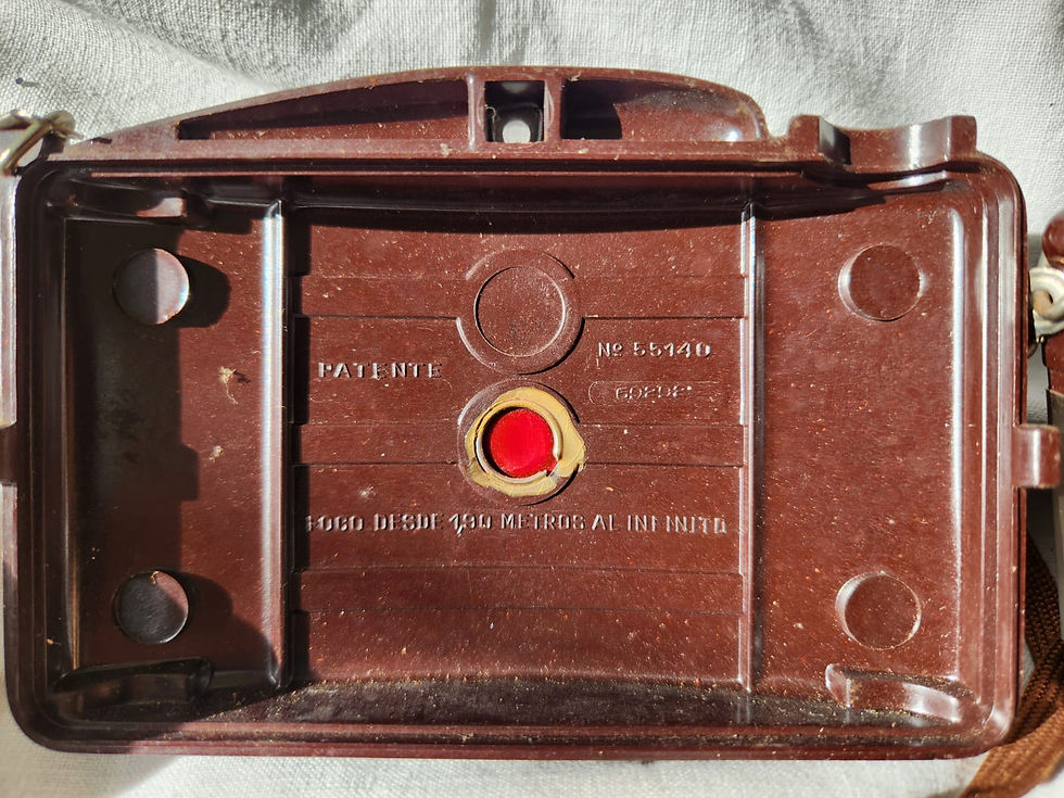 Miniatura: Cámara antigua Gevaert Rex Junior