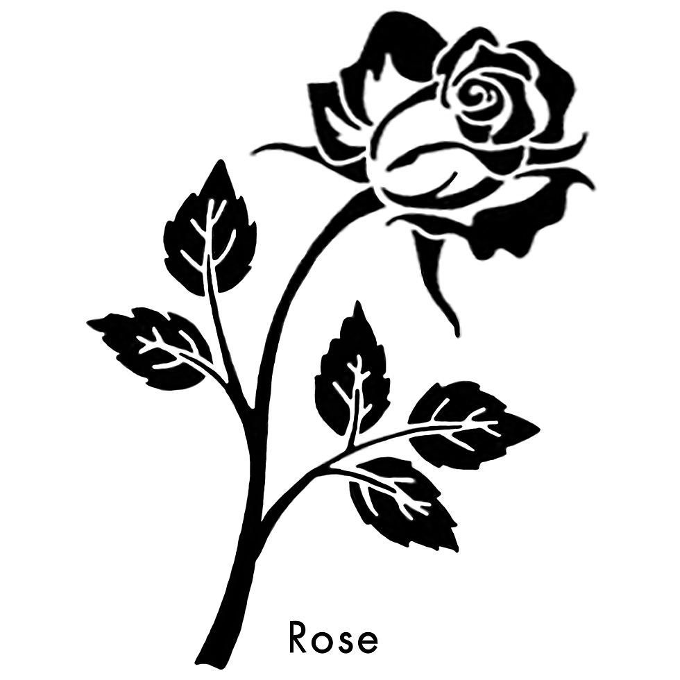 Rose