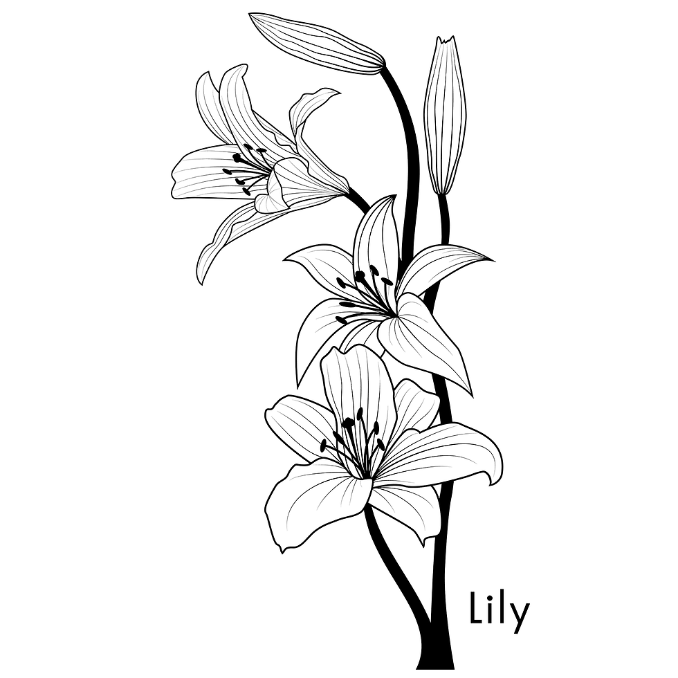 Lily