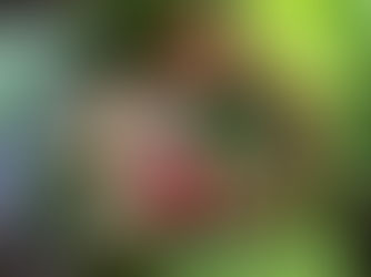 聖誕花圈手作DIY