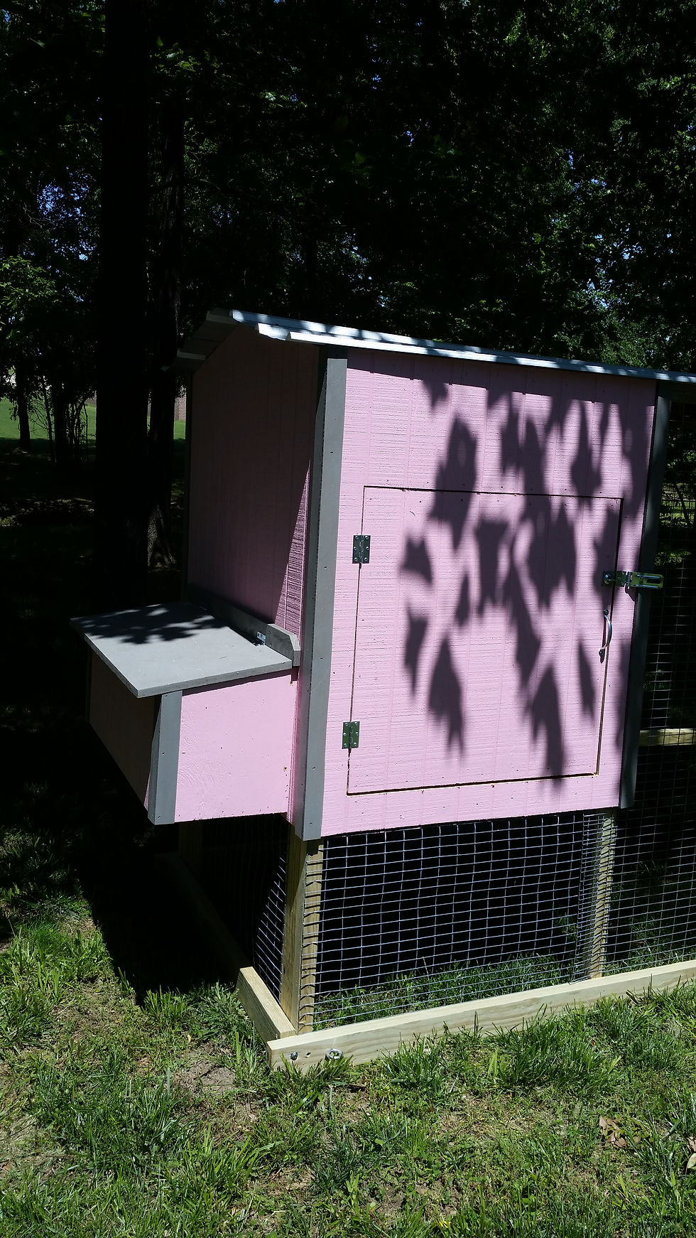 In-Between 4x9x6 Holds 6-8 Chickens