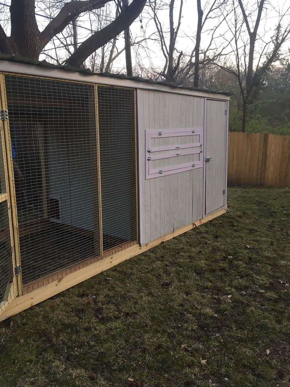 6x16x6 holds 30 chickens