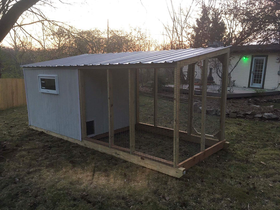 6x16x6 holds 30 chickens