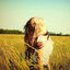 Foto del escritor: NOE INFINITY