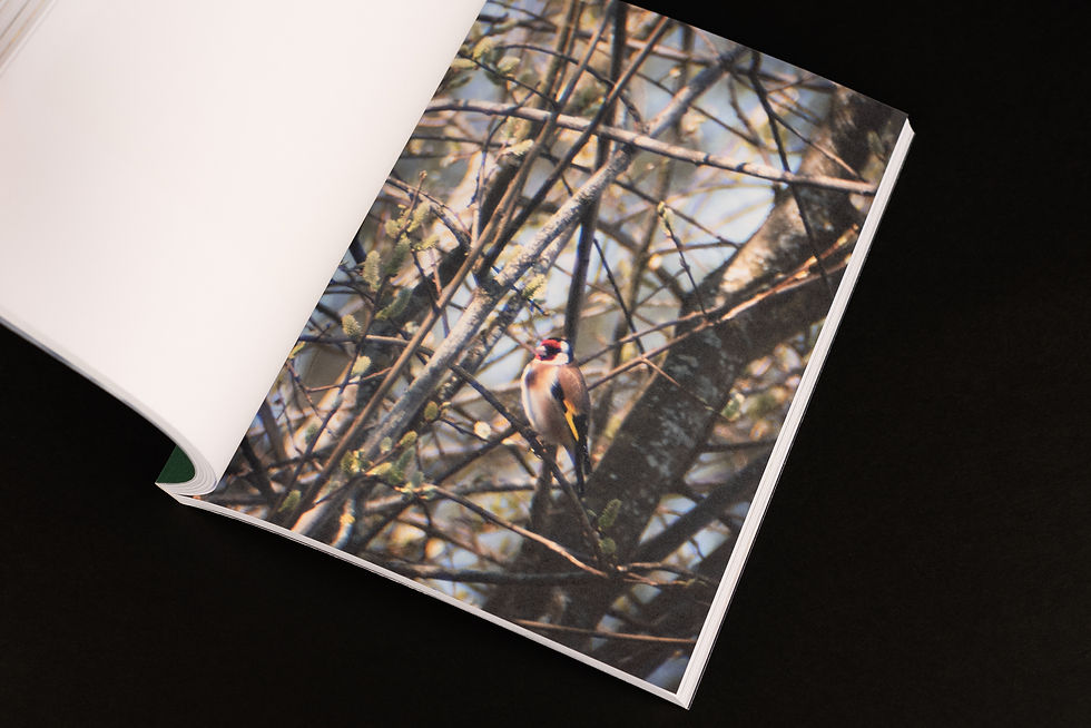 Thumbnail: Binocular Vision Volume One