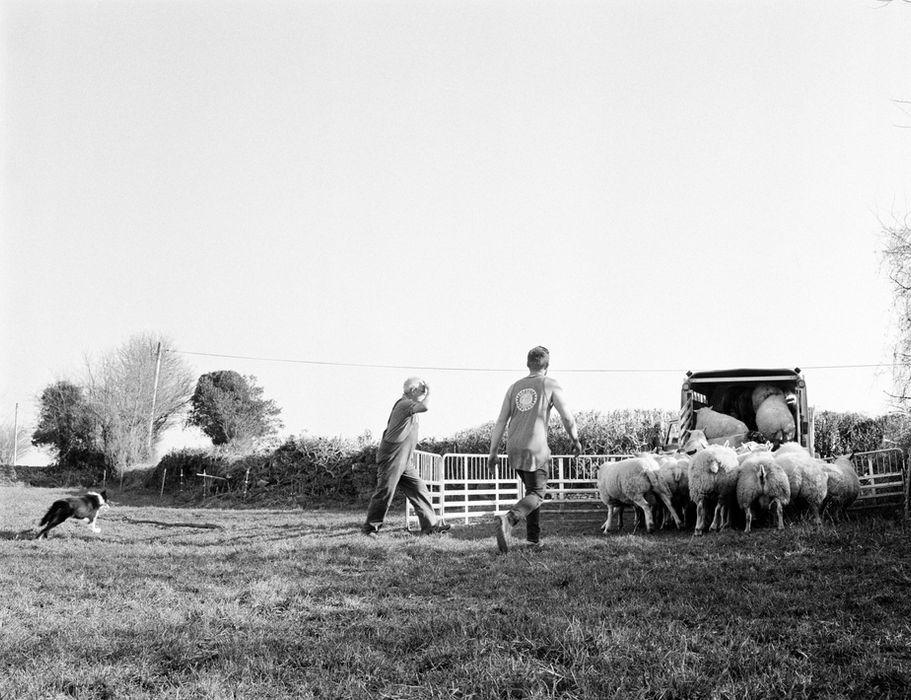 Lenton Farm Alexander J Carnie