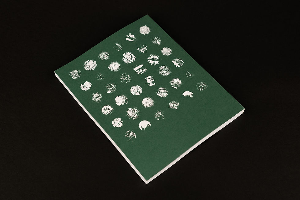 Thumbnail: Binocular Vision Volume One