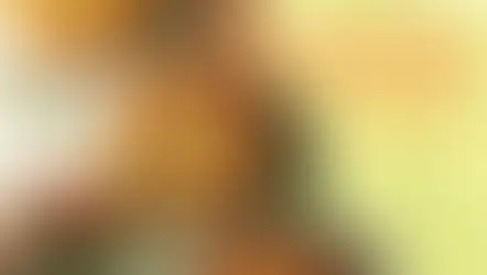 🌴“ 有海風與果香的披薩 ”⛱️